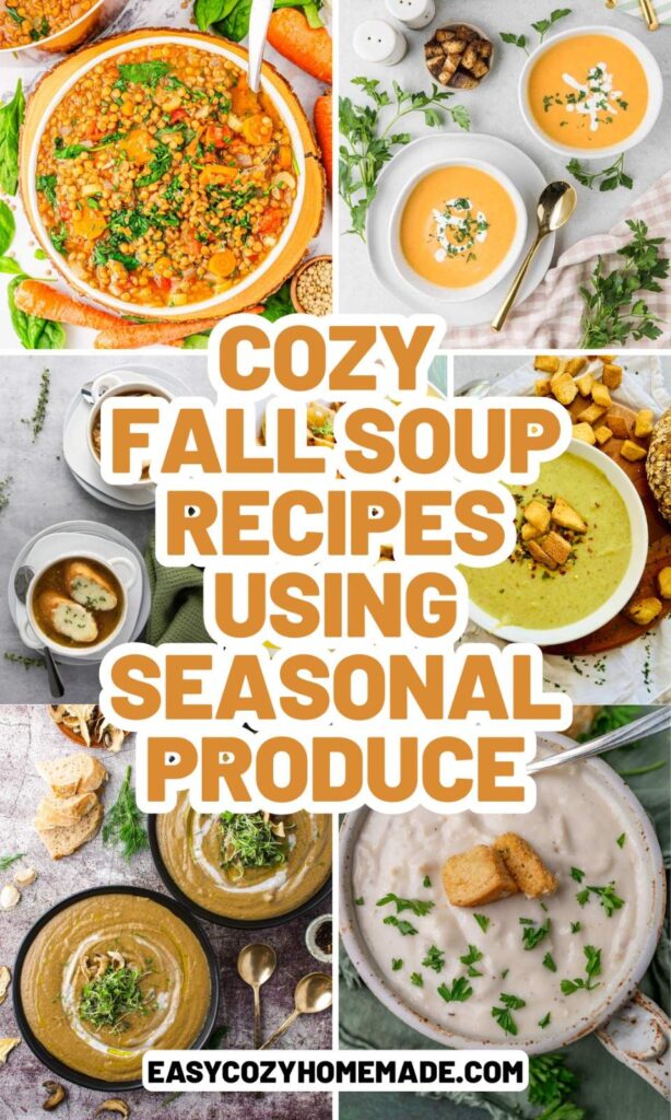 Roundup image for Cozy Fall Soup Recipes Using Seasonal Produce
