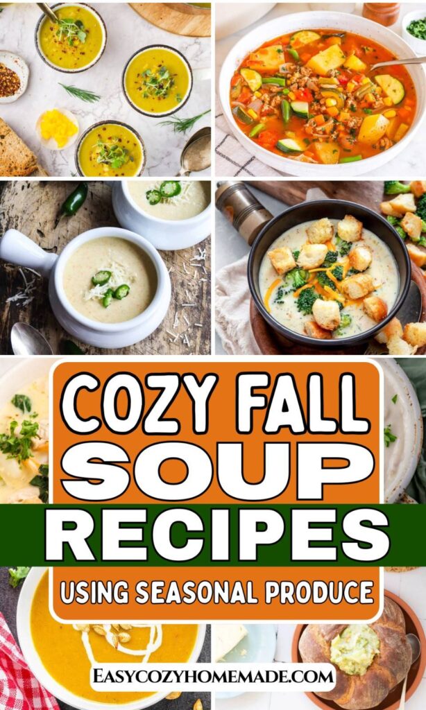 Roundup image for Cozy Fall Soup Recipes Using Seasonal Produce
