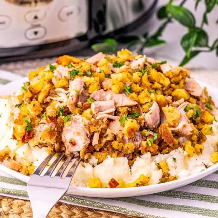 Roundup image for Lazy Dump And Go Crockpot Recipes For Dinner
