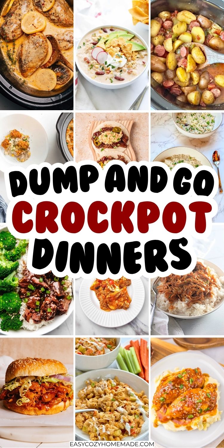 Lazy Dump And Go Crockpot Recipes For Dinner