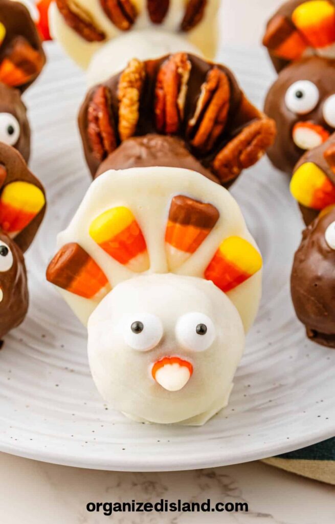 Roundup image for Thanksgiving Treat Ideas